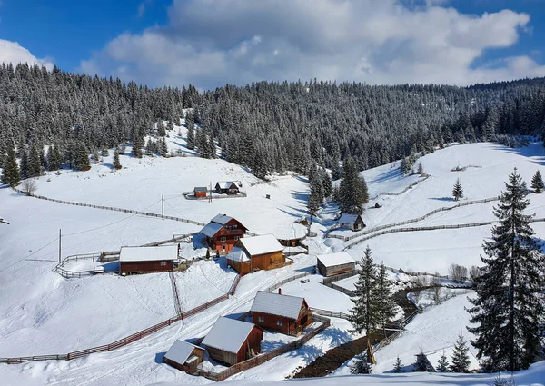 Winterlandschaft Mit Verschneiten Bäumen Und Bergen — Stockfoto