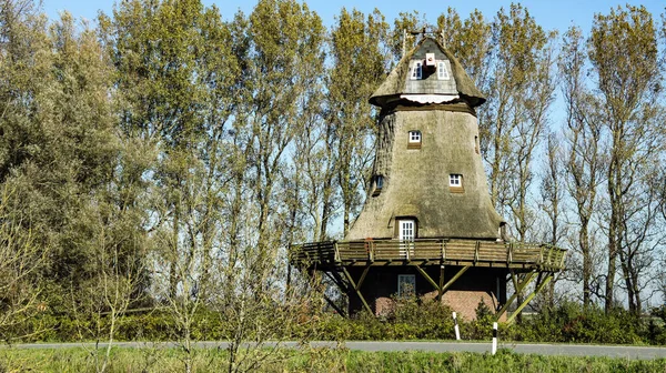 Steinfelsen Mit Steinen Und Felsen — Stockfoto