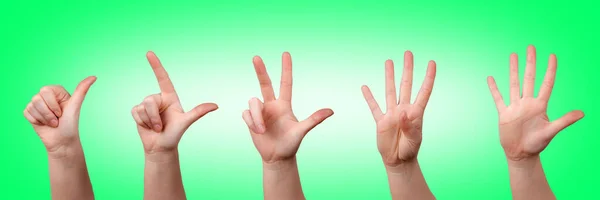 Χέρι Διαφορετικές Χειρονομίες Στο Πράσινο Φόντο — Φωτογραφία Αρχείου