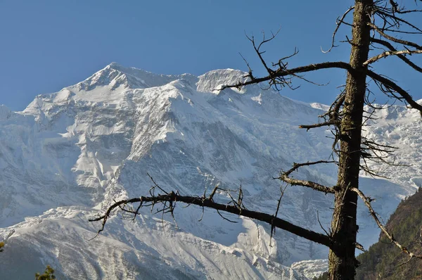 Karla Kaplı Dağları Olan Güzel Bir Manzara — Stok fotoğraf