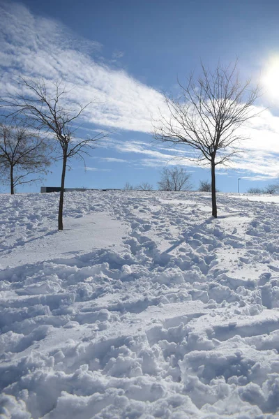 Paisaje Invernal Con Árboles Cubiertos Nieve — Foto de Stock