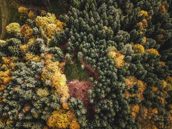 Luftaufnahme Des Waldes Herbst — Stockfoto