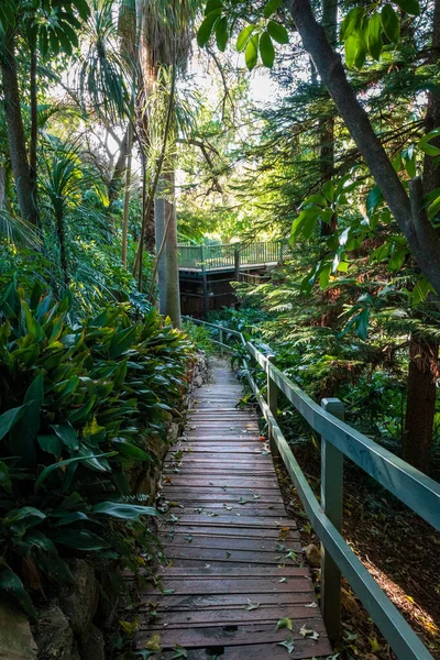 Puente Madera Parque — Foto de Stock