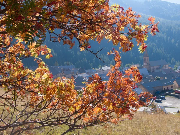 Renkli Ağaçlar Yapraklarla Dolu Sonbahar Manzarası — Stok fotoğraf