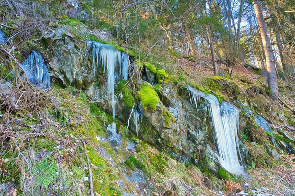 Belle Cascade Dans Forêt — Photo