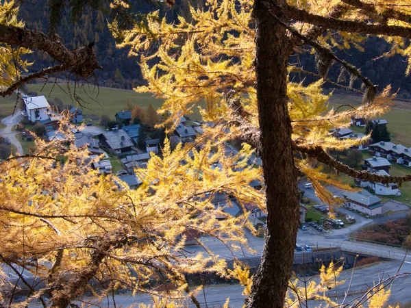 Bella Vista Sul Bosco — Foto Stock