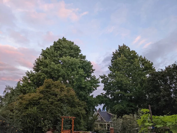 Bellissimo Paesaggio Con Albero Cielo Blu — Foto Stock