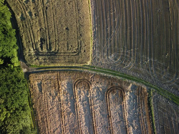 Vista Aérea Carretera Bosque — Foto de Stock