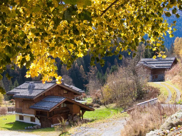 Holzhaus Herbstlichen Wald — Stockfoto