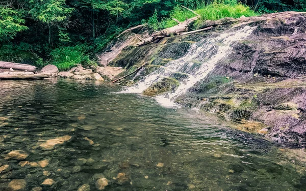 Красивый Водопад Лесу — стоковое фото