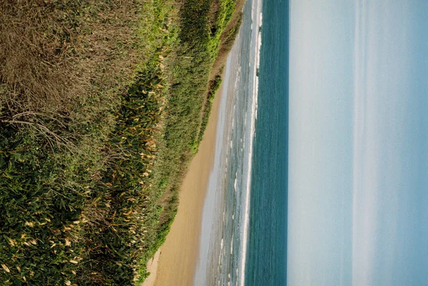 Vista Aérea Playa Con Palmeras Hierba Verde —  Fotos de Stock