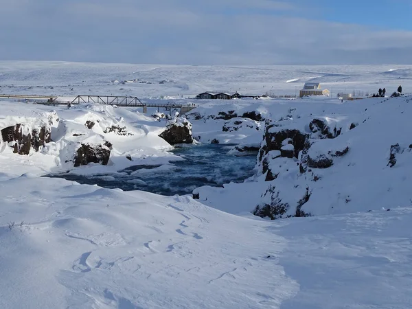 얼음으로 뒤덮인 아름다운 — 스톡 사진