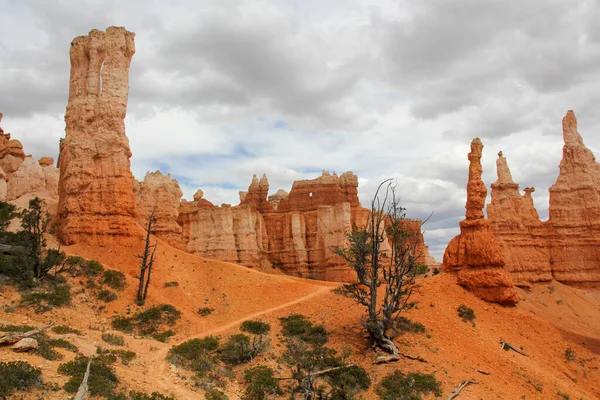 Bryce Canyon National Park Utah Usa — Stock fotografie