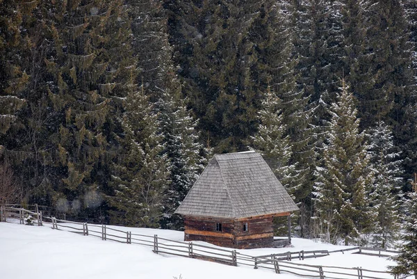 Pemandangan Musim Dingin Dengan Pohon Tertutup Salju — Stok Foto