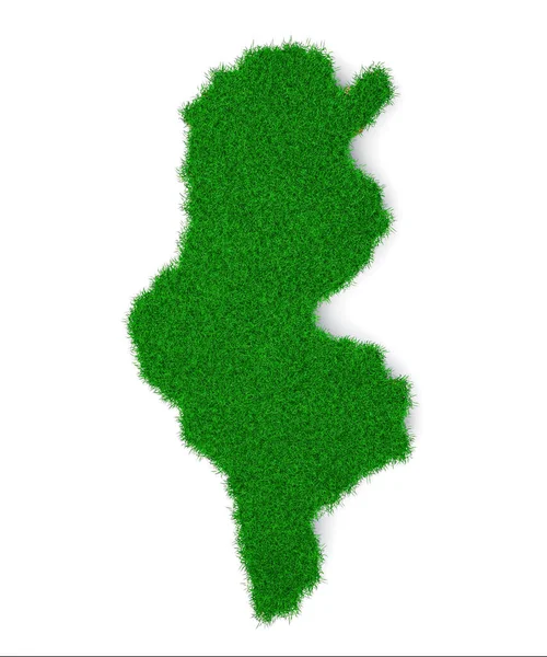 Erba Verde Foglia Isolata Sfondo Bianco — Foto Stock