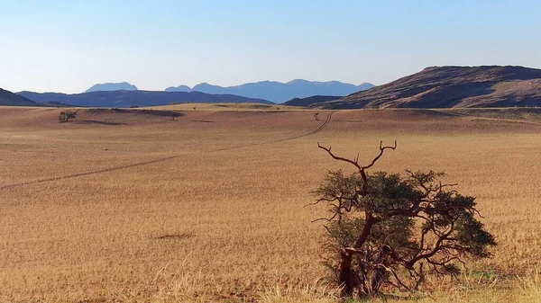 Krásná Krajina Negev Pouště Údolí Namib Namibie — Stock fotografie