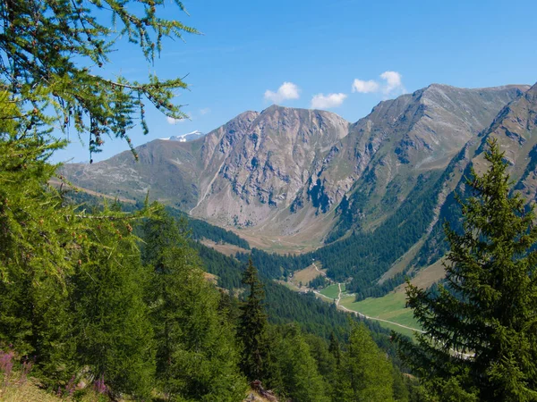 Gyönyörű Kilátás Nyílik Hegyekre — Stock Fotó