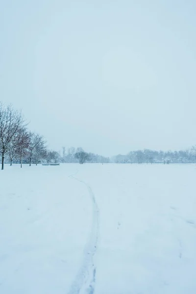 Vinterlandskap Med Snötäckta Träd — Stockfoto