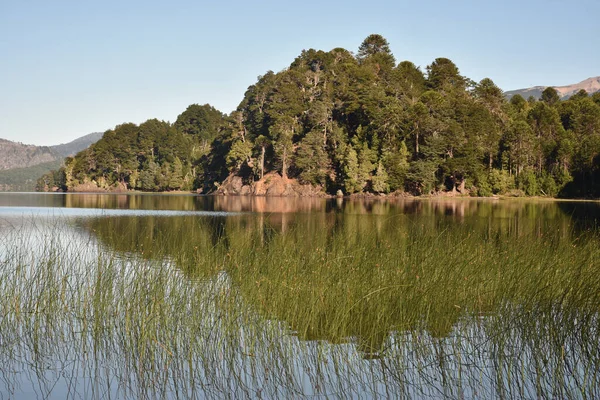 Bela Paisagem Com Lago Floresta — Fotografia de Stock