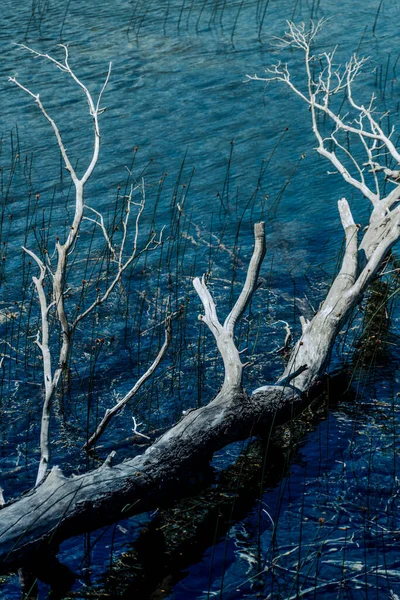 호수의 아름다운 — 스톡 사진