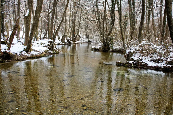 Schöne Sicht Auf Die Outdoor Szene — Stockfoto