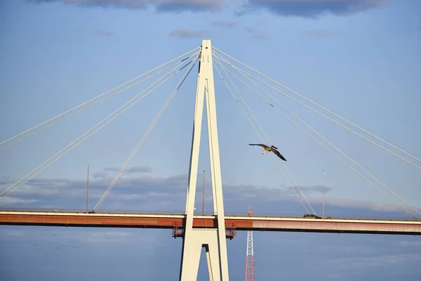 Puente Ciudad Barcelona —  Fotos de Stock