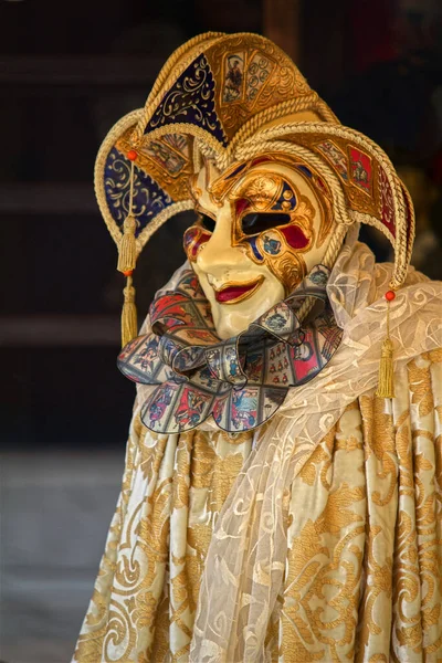 Człowiek Karnawałowe Maski — Zdjęcie stockowe