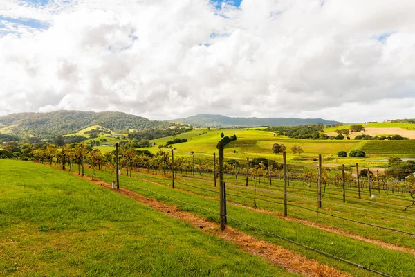 Schöne Landschaft Des Tals — Stockfoto