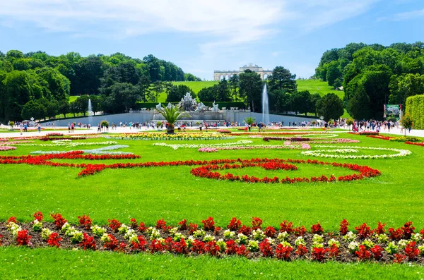 Bellissimi Fiori Nel Parco — Foto Stock