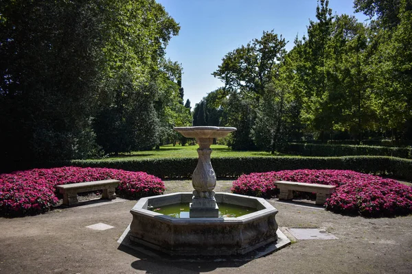 Piękny Ogród Parku — Zdjęcie stockowe