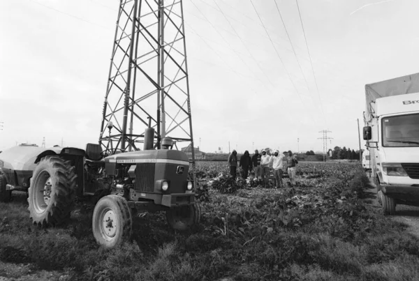 Zwart Wit Foto Van Een Vrachtwagen Het Veld — Stockfoto