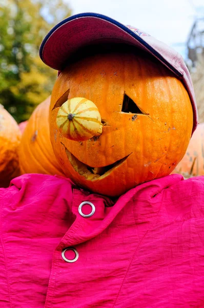 Halloween Pumpkin Pumpkins — Stock Photo, Image