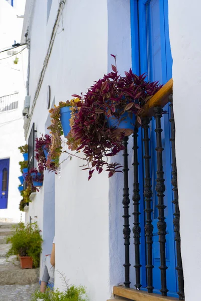 Bela Rua Cidade Santorini — Fotografia de Stock