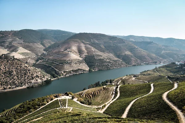 Dağlardaki Nehrin Havadan Görünüşü — Stok fotoğraf