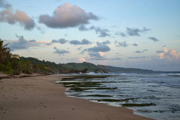 Hermosa Playa Tropical Con Palmeras Mar — Foto de Stock