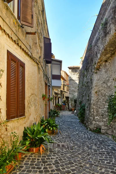 Altstadt Der Stadt Kotor Montenegro — Stockfoto