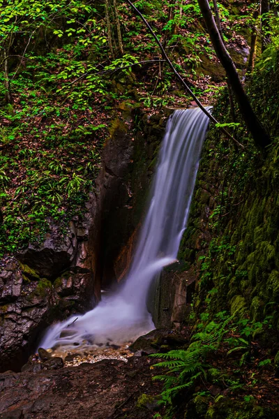 Hermosa Cascada Bosque — Foto de Stock