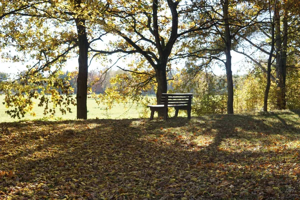Осенний Парк Городе — стоковое фото