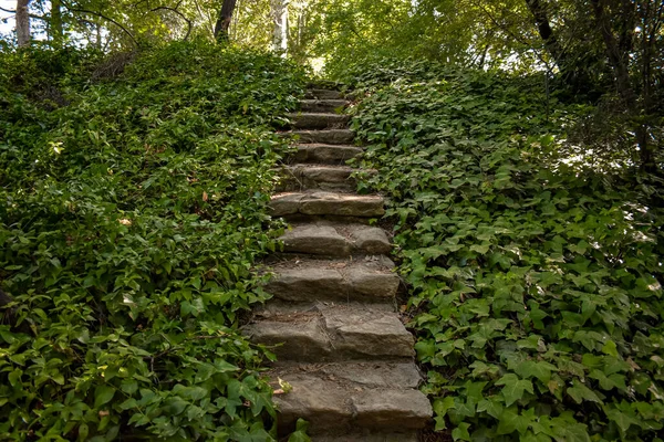 Stone Stairs Park — Stock Photo, Image
