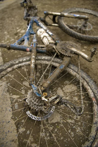 Rueda Bicicleta Con Una Bicicleta — Foto de Stock