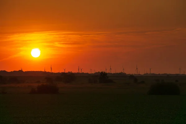 Sonnenuntergang Über Dem Feld — Stockfoto