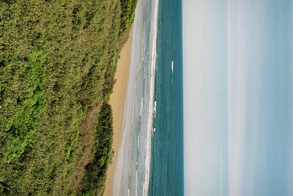 ヤシの木と緑の芝生を持つビーチの空中ビュー — ストック写真