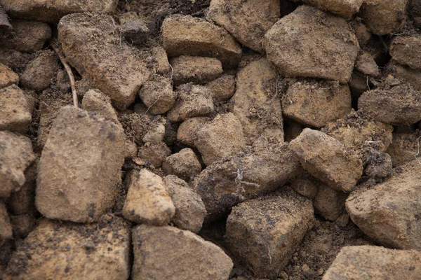 Груда Каменных Кирпичей Земле — стоковое фото