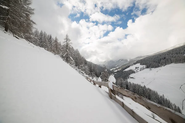 Paisagem Inverno Nas Montanhas Uma Floresta — Fotografia de Stock