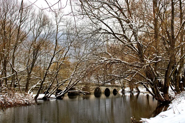 Paysage Hivernal Avec Arbres Enneigés — Photo