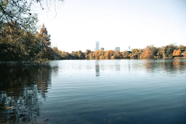 Осінній Пейзаж Деревами Хмарочосами — стокове фото