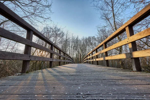 Wooden Bridge River Forest — Stock Photo, Image