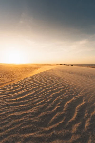 Пустельні Піщані Дюни Красивий Вид Пустелю — стокове фото
