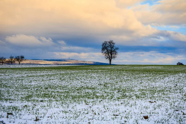 Hermoso Paisaje Con Campo Nieve —  Fotos de Stock