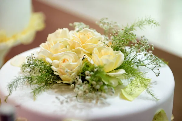 Anillos Boda Plato Blanco — Foto de Stock